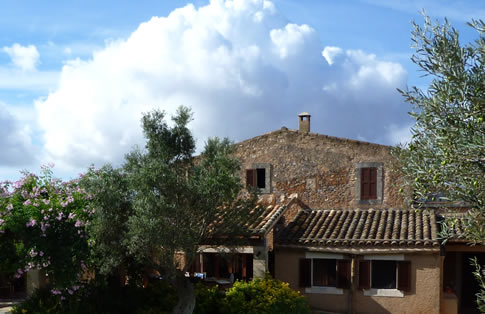 The House