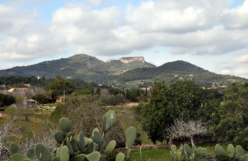 Countryside